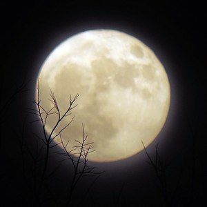 Meet your Posher, Virginia